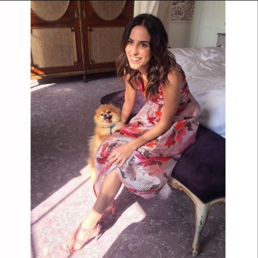 L.K. Bennett Dr Prula Dress - Picture 4 of 14